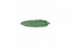 Folha Bananeira 39 Verde